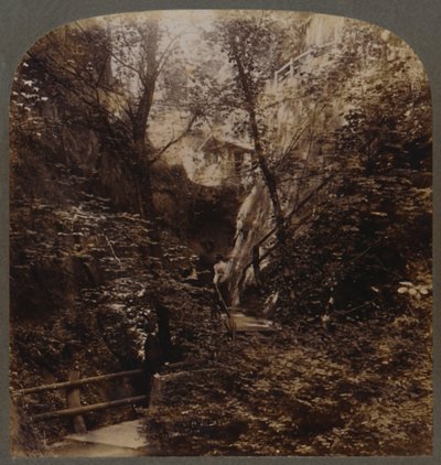 Shanklin Chine af verdensomspændende berømmelse, Isle of Wight, England, c1910. af Unbekannt