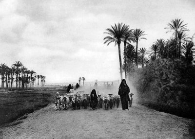 Hyrde får nær Cairo, Egypten, c1920