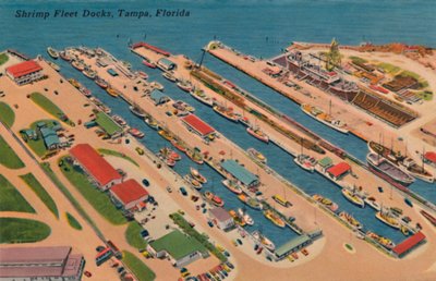 Shrimp Fleet Docks, Tampa, Florida, 1940