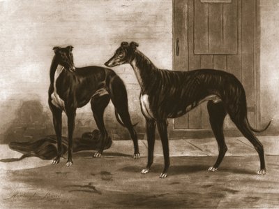 Simonian og Fullerton, c1891, 1911. af Unbekannt