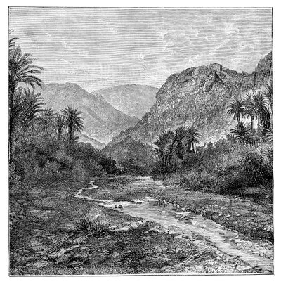 Sinai, Egypten, 1895 af Unbekannt