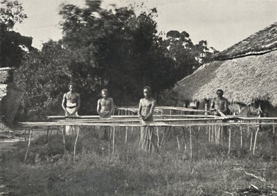 Singalesiske kanelarbejdere på arbejde, 1926 af Unbekannt