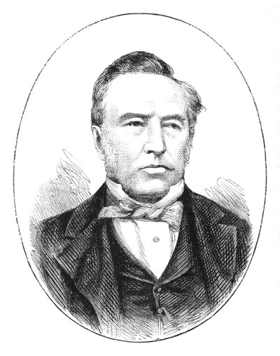 Sir Theophilus Shepstone, c1880 af Unbekannt