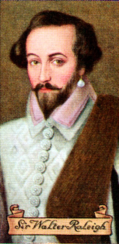 Sir Walter Raleigh, taget fra en række cigaretkort, 1935 af Unbekannt