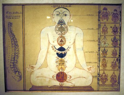 Seks chakraer, der repræsenterer den menneskelige krops plexus, Tanjore, Tamil Nadu, c1850 af Unbekannt