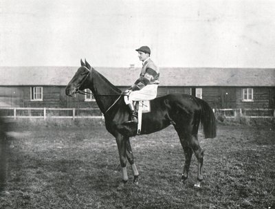 Skyskraber, 1911. af Unbekannt