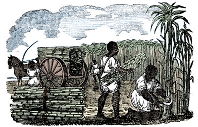 Slaver høster sukkerrør i Louisiana, 1833 af Unbekannt