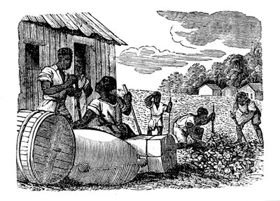 Slaver, der arbejder på en tobaksplantage, 1833 af Unbekannt