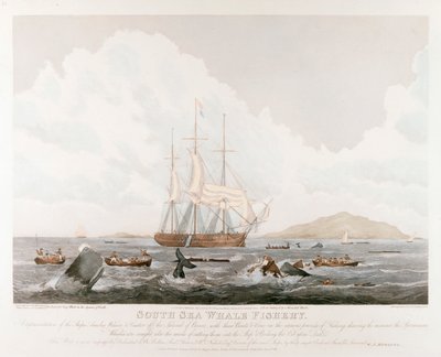 South Sea Whale Fishery, 1825 af Unbekannt