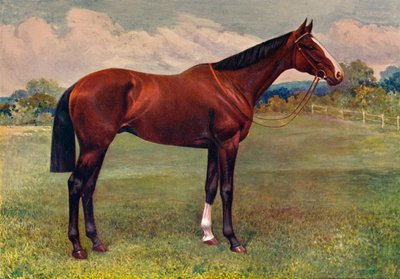 Spearmint, c1905 c1910 af Unbekannt