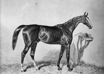 St. Albans, c1800-tallet, 1911 af Unbekannt