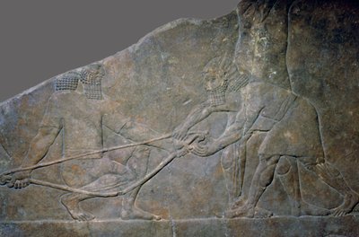 Stenpanel fra North Palace of Ashurbanipal, Nineveh, det nordlige Irak, Neo-Assyrisk, c645 f.Kr. af Unbekannt