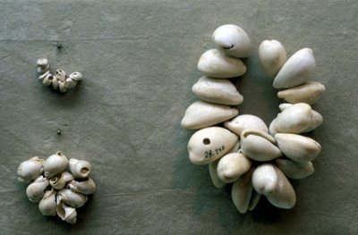 Strenge af Cowrie-skaller af Unbekannt