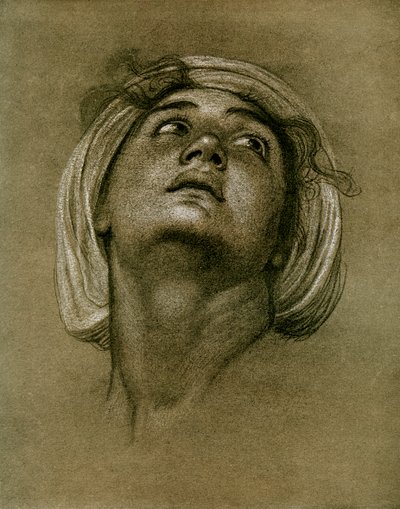 Studie af et hoved, 1901 af Unbekannt