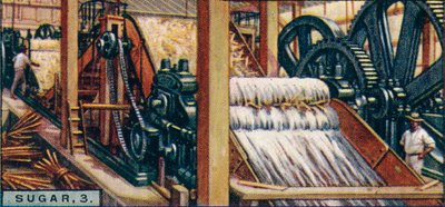 Sugar, 3. Crushing the Canes, Java, 1928 af Unbekannt