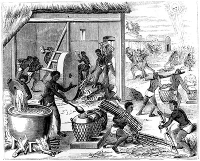 Sukkerproduktion, 1873 af Unbekannt