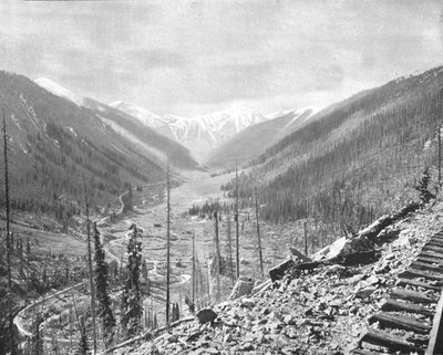Sultan Mountain, nær Silverton, Colorado, USA, c1900. af Unbekannt