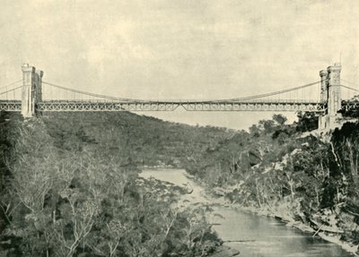 Suspension Bridge, North Sydney, 1901. af Unbekannt
