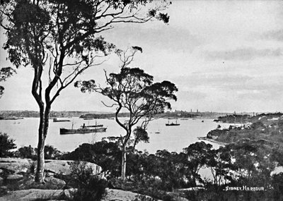 Sydney Harbour, fra Cremorne Point, c1900. af Unbekannt
