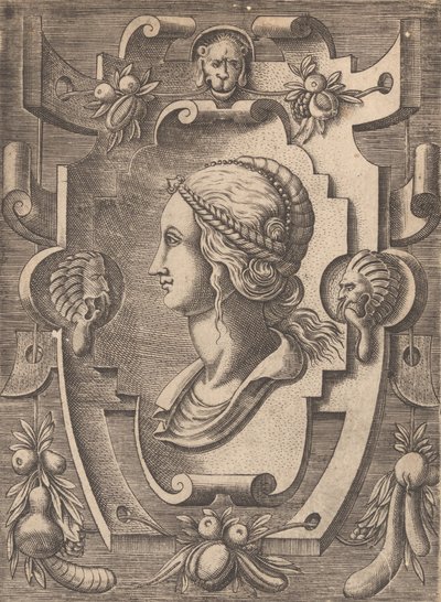Plaketter og andre ornamenter med forskellige og finurlige opfindelser Kartoucher og andre ornamenter o ..., 1773. af Unbekannt