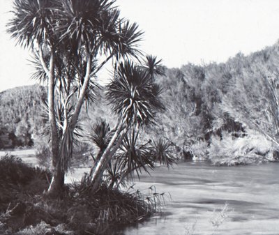 Te Waihou River, Okoroire, slutningen af det 19.-begyndelsen af det 20. århundrede. af Unbekannt