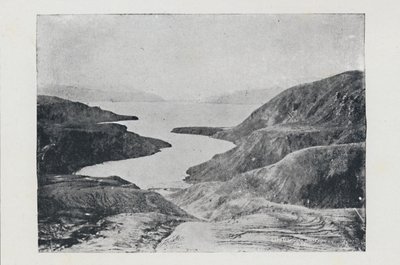 Wairoa efter udbruddet af Tarawera, 1923. af Unbekannt