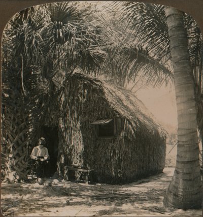 Stråtækt sommerhus i Cocoanut Grove, Florida, U.S.A., c1900 af Unbekannt