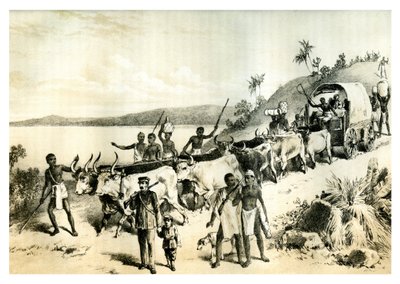 Die Ankunft am Lake Ngami, 1883 von Unbekannt