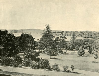 Sydneys botaniske have, 1901. af Unbekannt