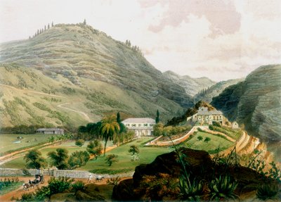 The Briars, St. Helena, begyndelsen af det 19. århundrede 1851 af Unbekannt