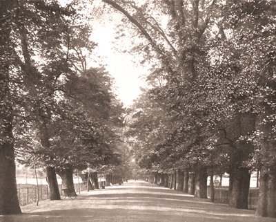 The Broad Walk, Oxford, 1894. af Unbekannt