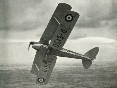 De Havilland Tiger Moth, 1941. af Unbekannt