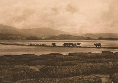 Duen ved Ynyslas, 1902 af Unbekannt