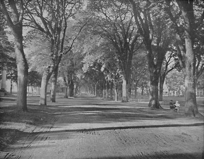 The Elms, New Haven, Conn., c1897. af Unbekannt