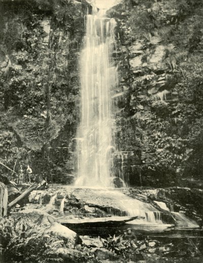 Erskine Falls, nær Lorne, 1901. af Unbekannt