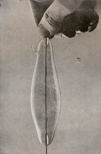 Den første elektriske glødelampe, c1916 af Unbekannt