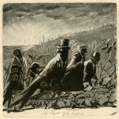 Svalernes flugt, 1882. af Unbekannt