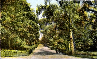 The Flower Walk, Kensington Gardens, London, 20. århundrede af Unbekannt