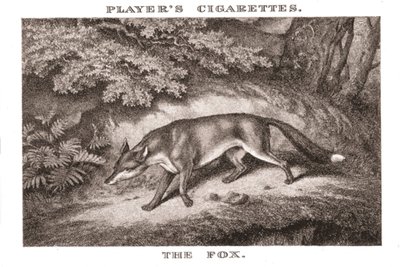 The Fox, 1924.  af Unbekannt