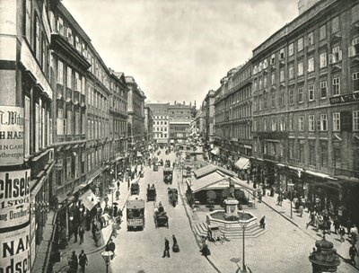 The Graben, Wien, Østrig, 1895. af Unbekannt