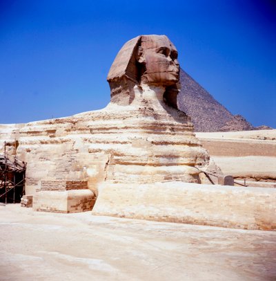 Den store sfinks ved Giza, oldægyptisk, c2550 f.Kr af Unbekannt
