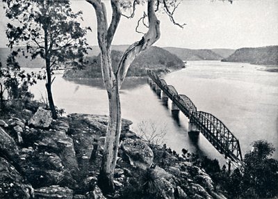 Hawkesbury River and Bridge, c1900. af Unbekannt