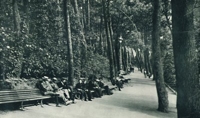 Invalids Walk, c1910 af Unbekannt