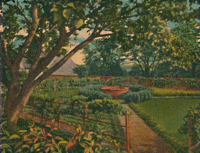 Køkkenhaven, 1946 af Unbekannt