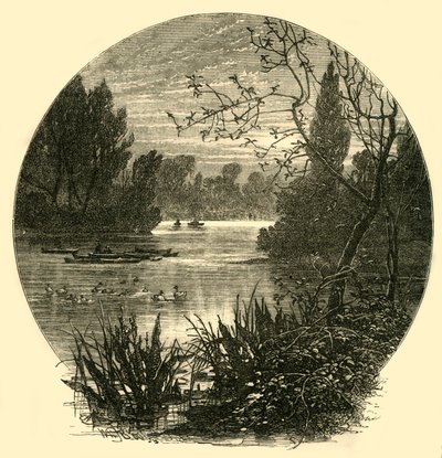 Søen, Battersea Park, c1878. af Unbekannt