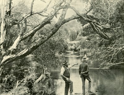 The Launching Place, Upper Yarra, Victoria, 1901. af Unbekannt