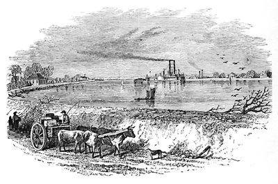 The Levee, 1883 af Unbekannt