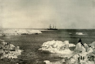 The Nimrod Liing Off The Penguin Rookery, c1908, 1909. af Unbekannt