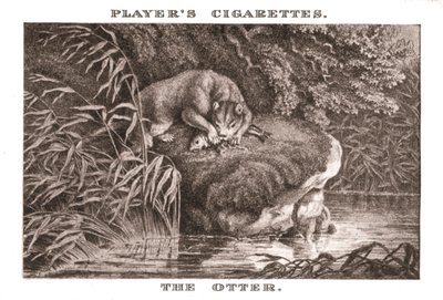 Otteren, 1924. af Unbekannt