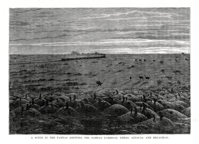 Pampas-jernbanen, Sydamerikansk lavland, 1877 af Unbekannt